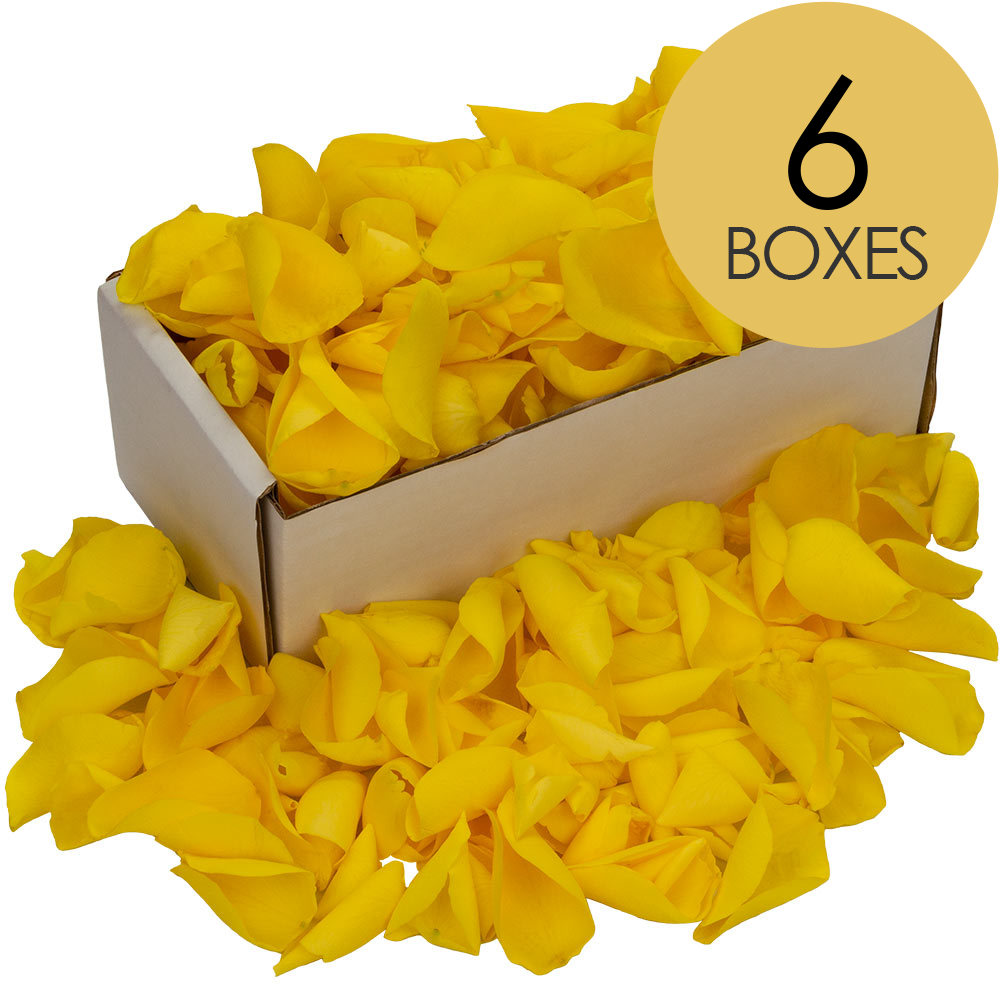 6 Boxes of Yellow Rose Petals