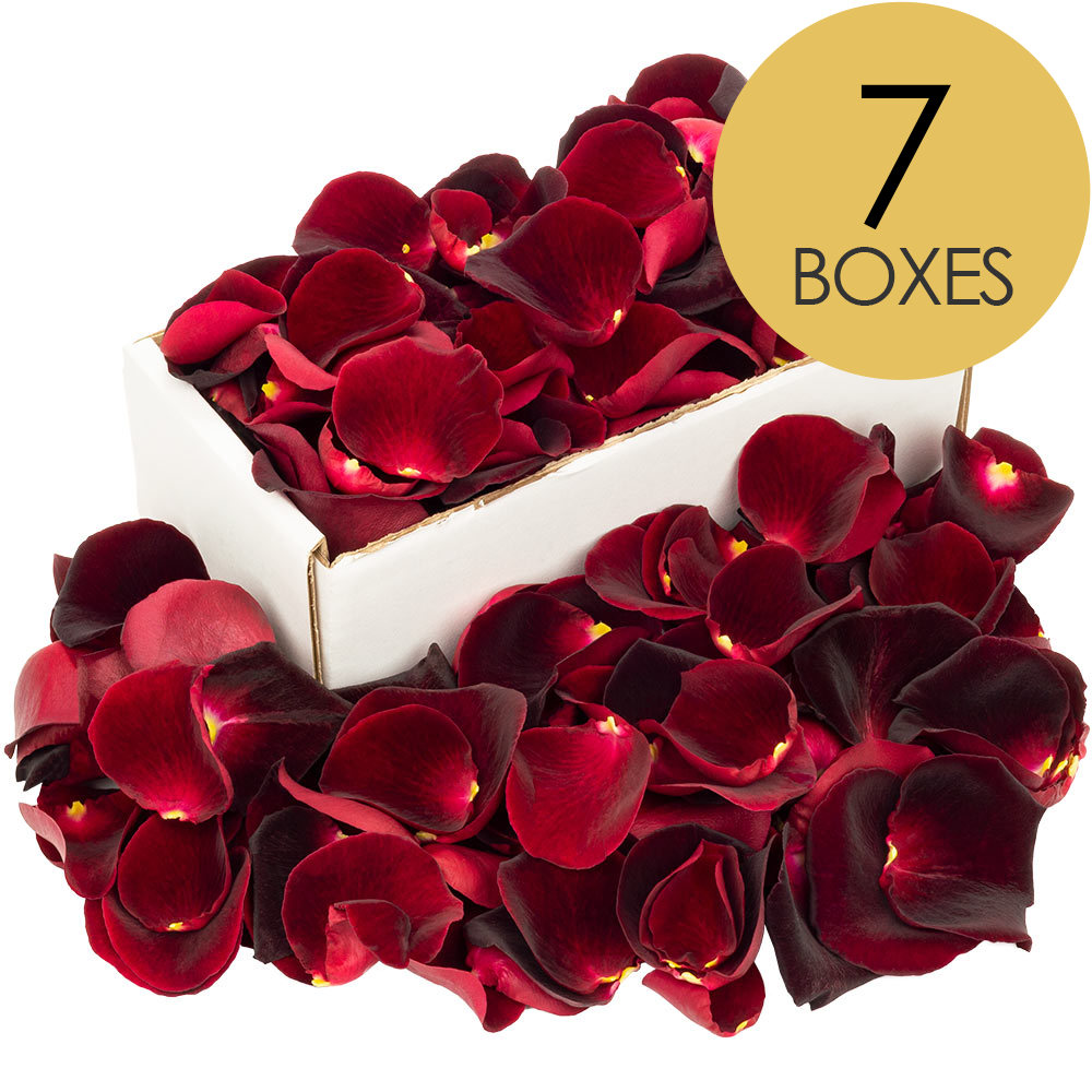 7 Boxes of Black Baccara Rose Petals