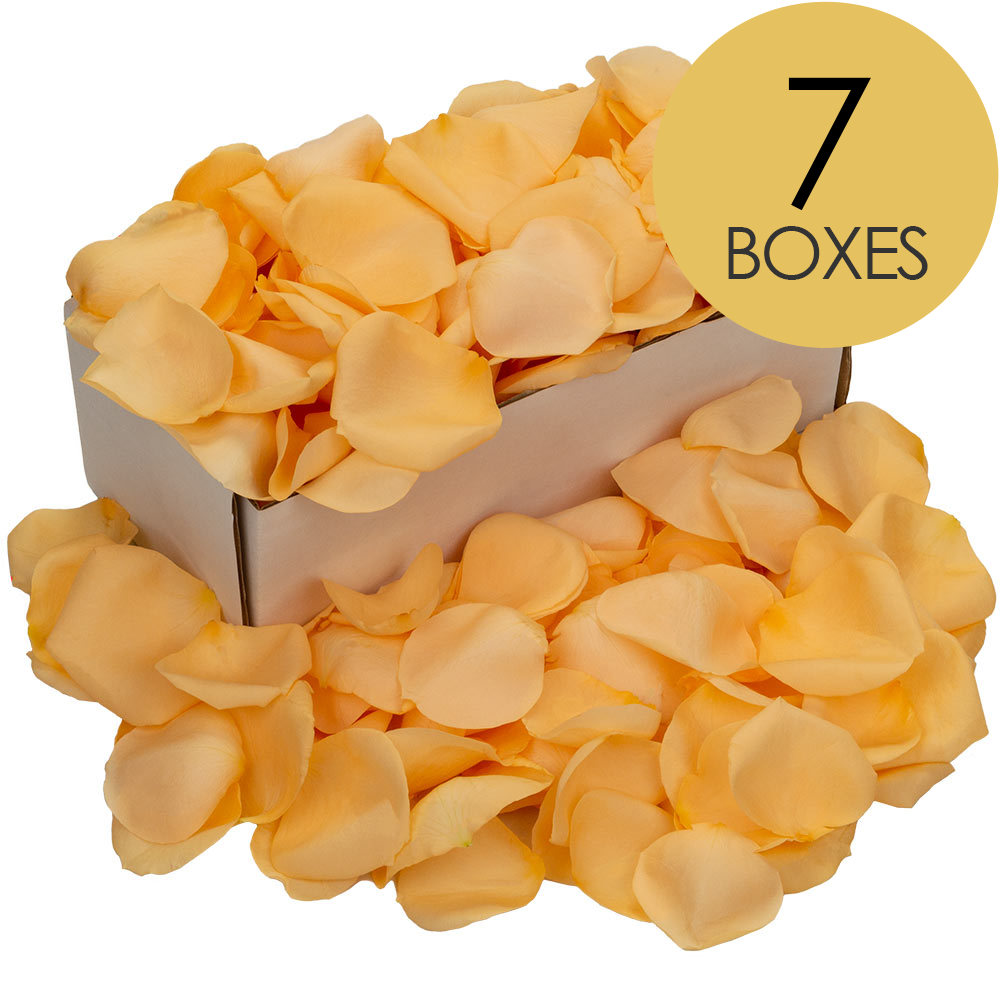 7 Boxes of Peach Rose Petals