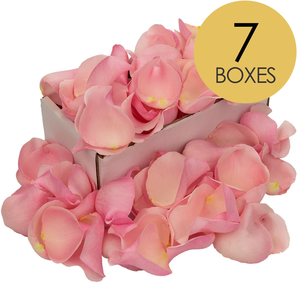 7 Boxes of Pink Rose Petals