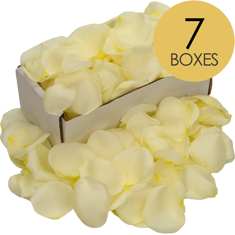 7 Boxes of White Rose Petals