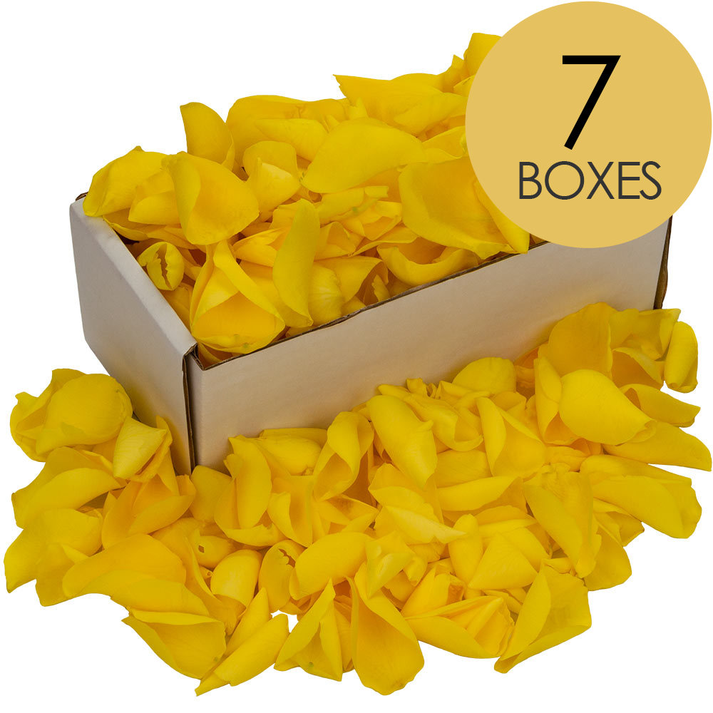 7 Boxes of Yellow Rose Petals