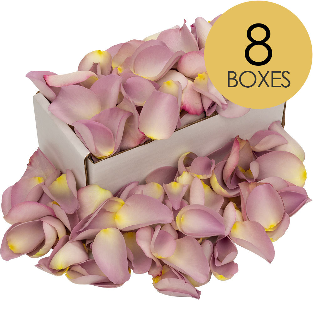 8 Boxes of Lilac Rose Petals