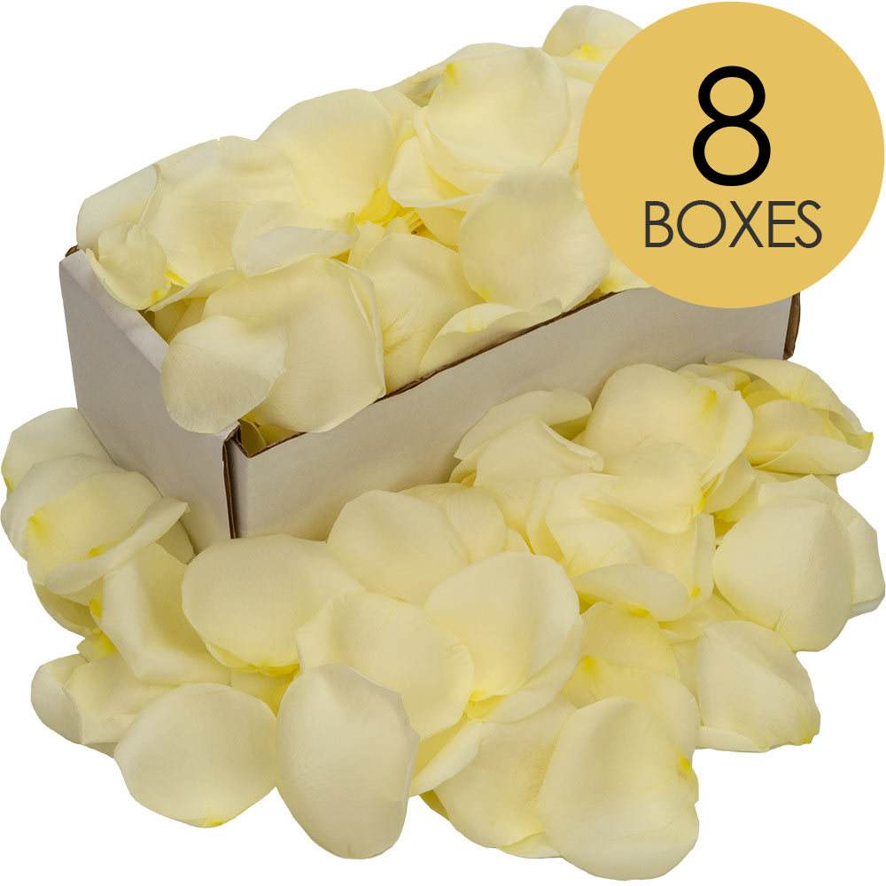 8 Boxes of White Rose Petals
