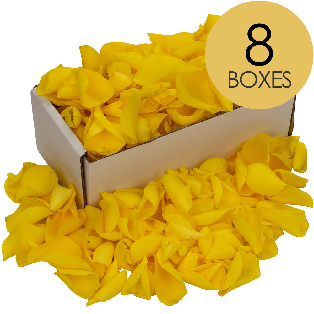 8 Boxes of Yellow Rose Petals