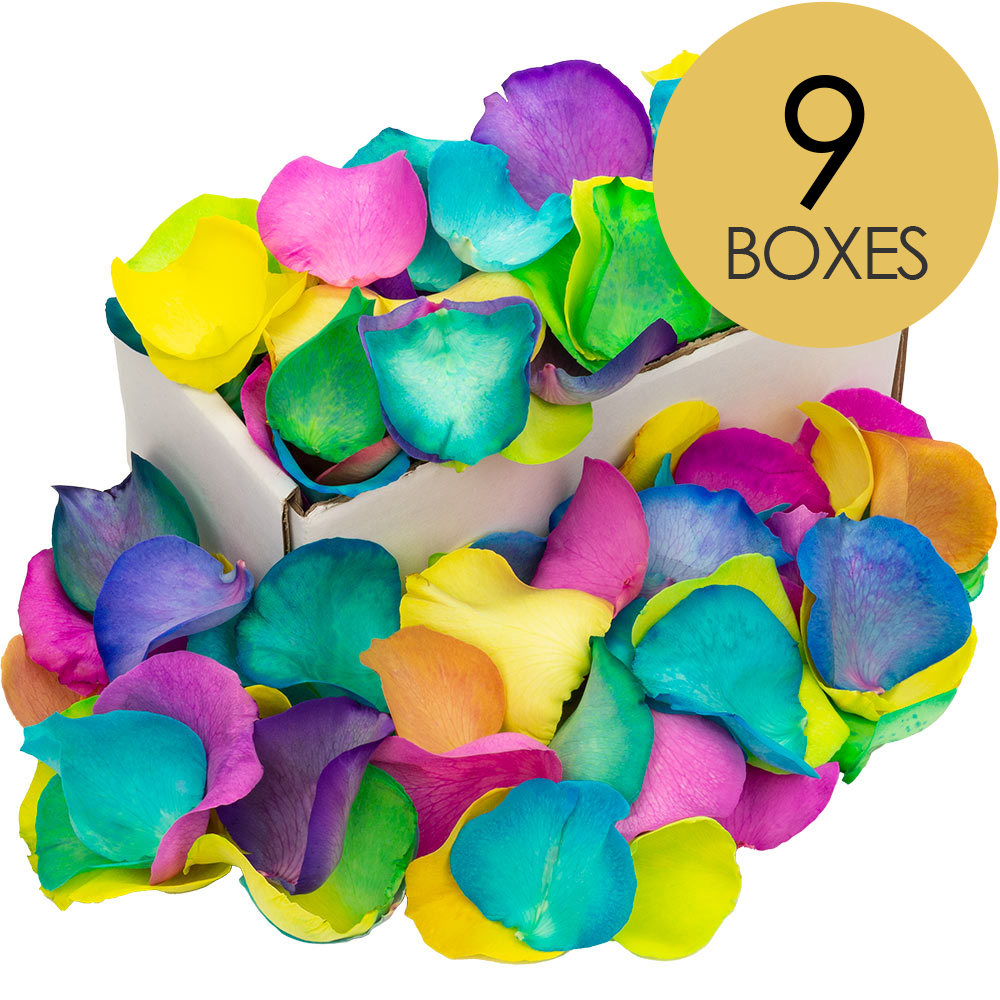 9 Boxes of Happy Rainbow Rose Petals