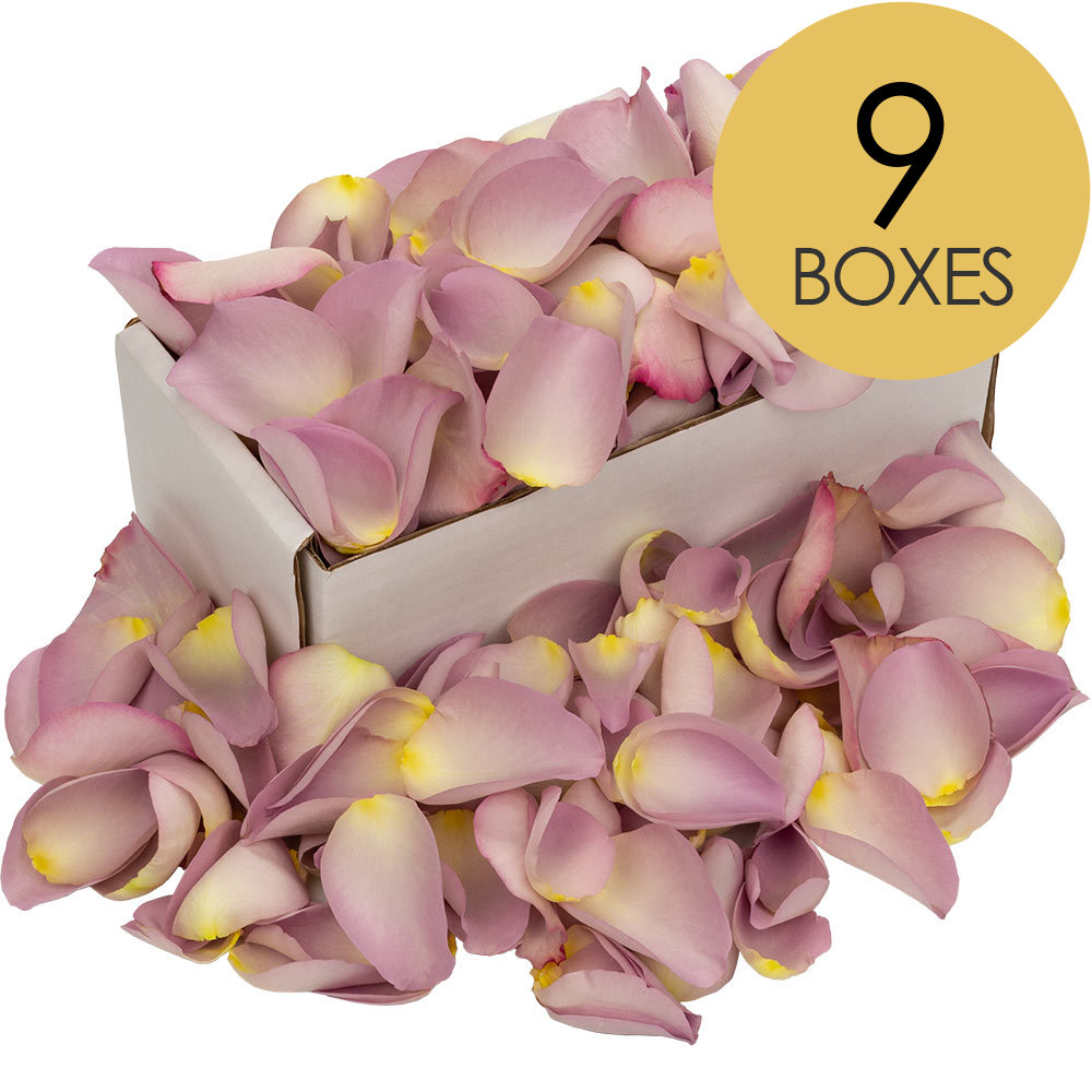 9 Boxes of Lilac Rose Petals
