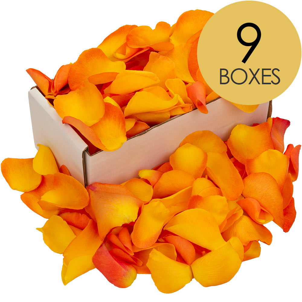 9 Boxes of Orange Rose Petals