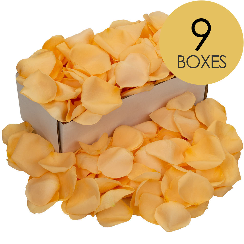 9 Boxes of Peach Rose Petals