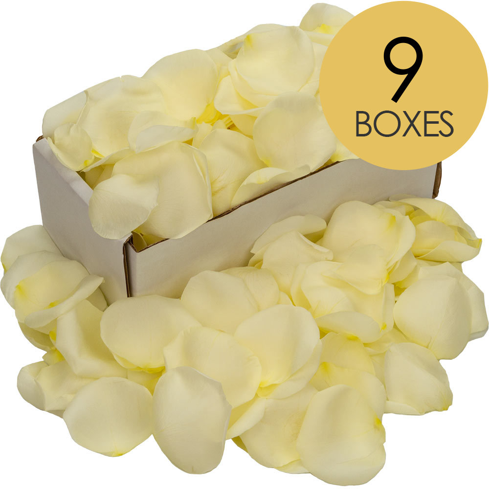 9 Boxes of White (Avalanche) Rose Petals