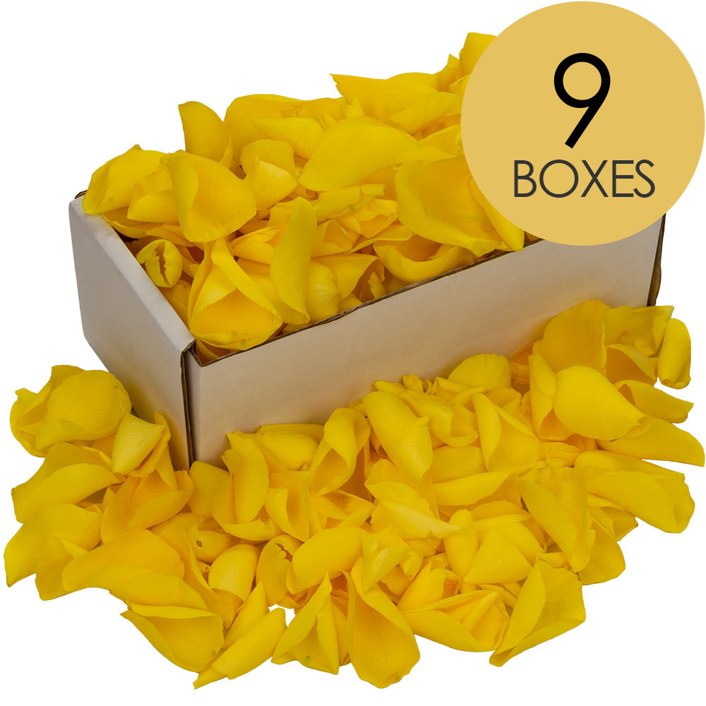 9 Boxes of Yellow Rose Petals