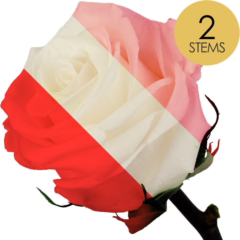 2 Luxury Infinity Customised Roses
