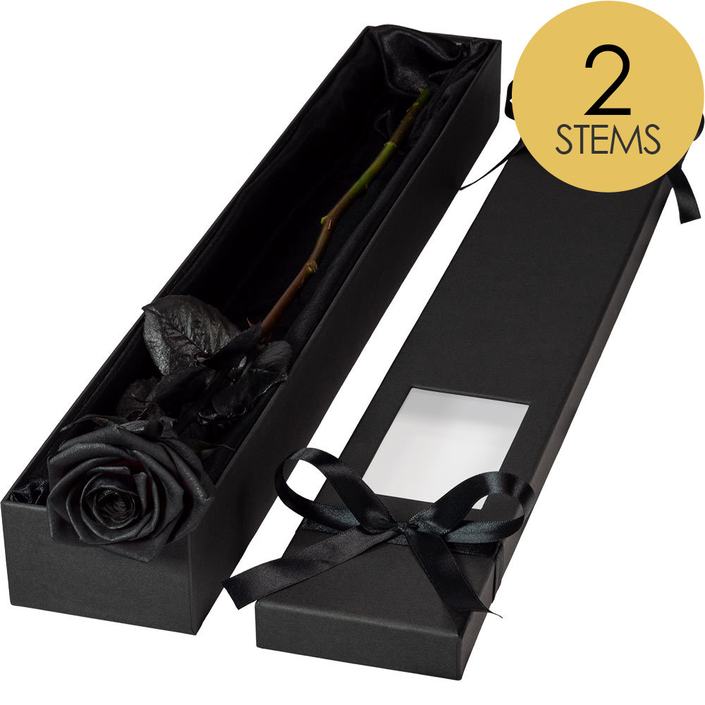 2 Extra Long Luxury Black Roses