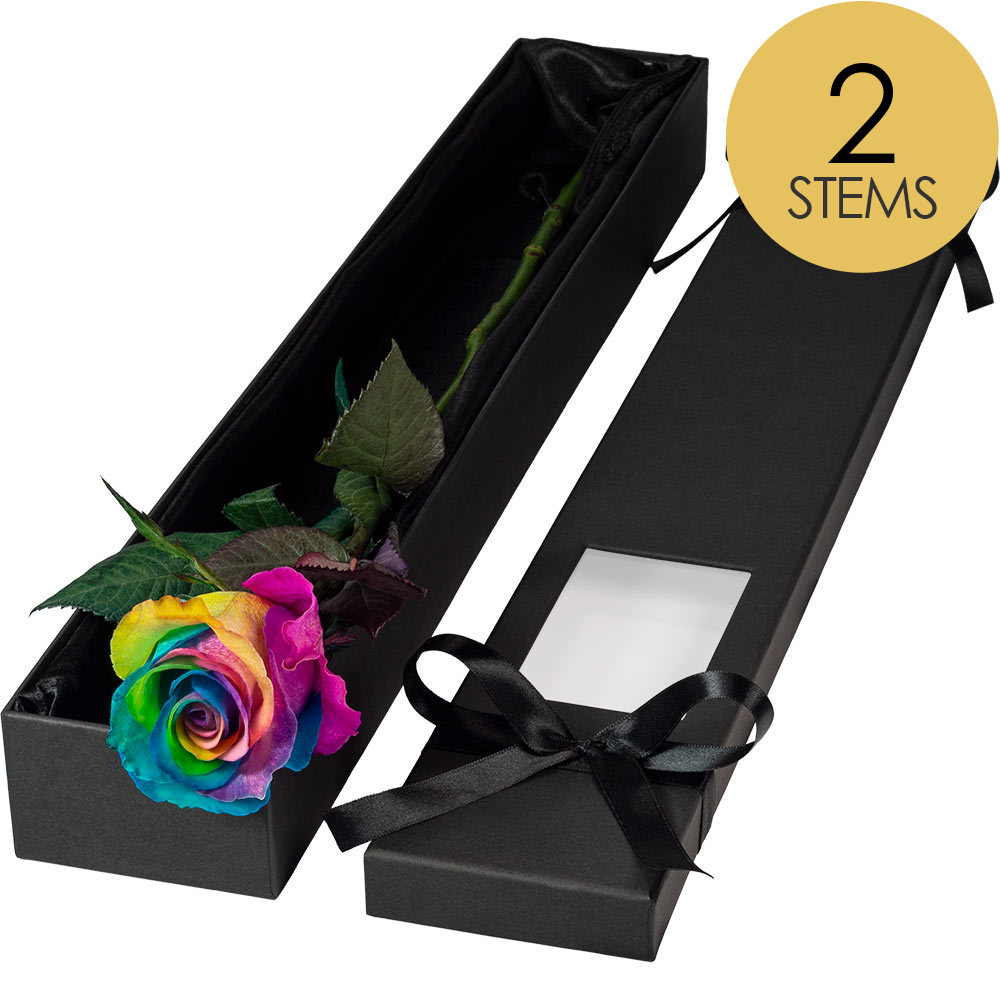 2 Extra Long Luxury Happy Rainbow Roses