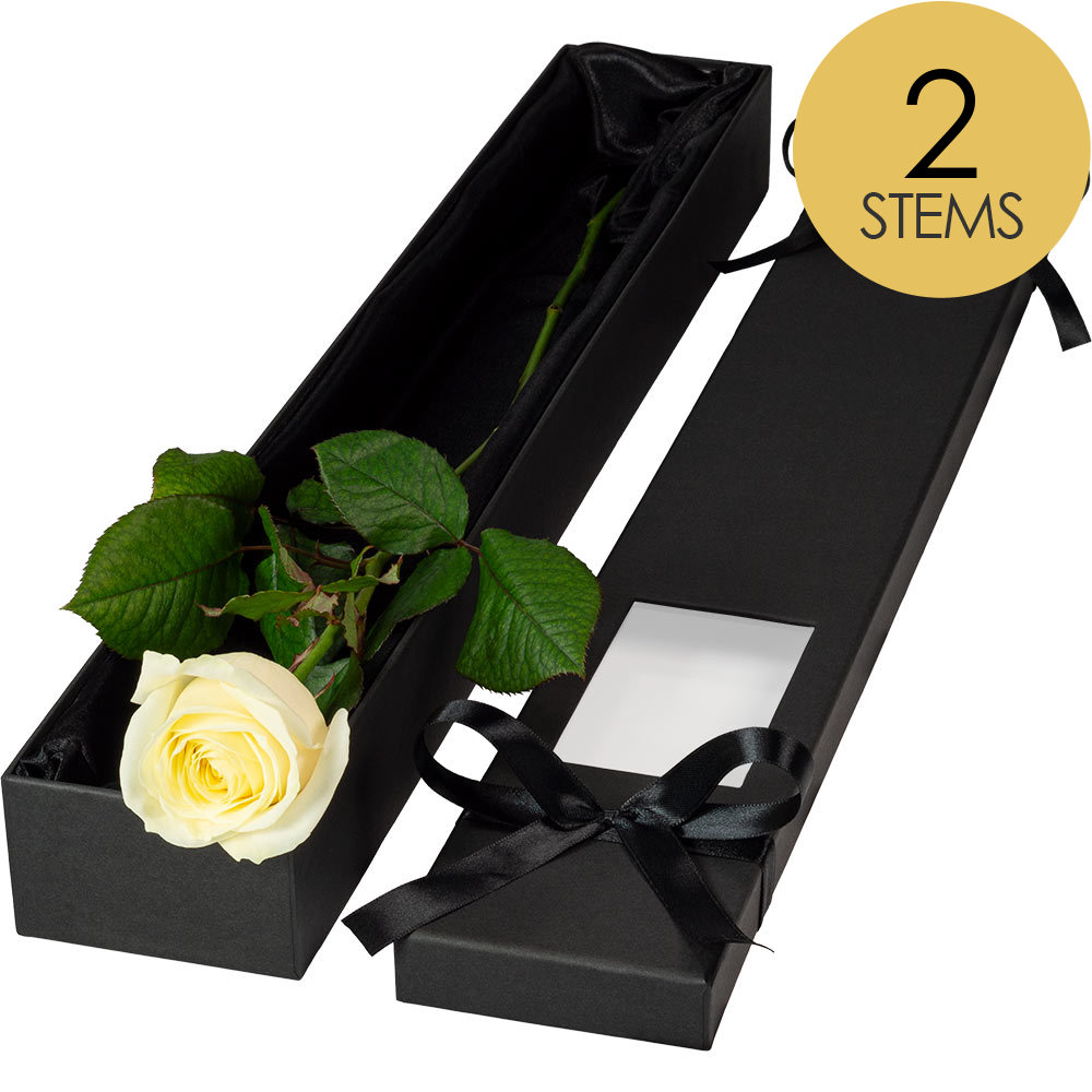 2 Extra Long Luxury White Roses