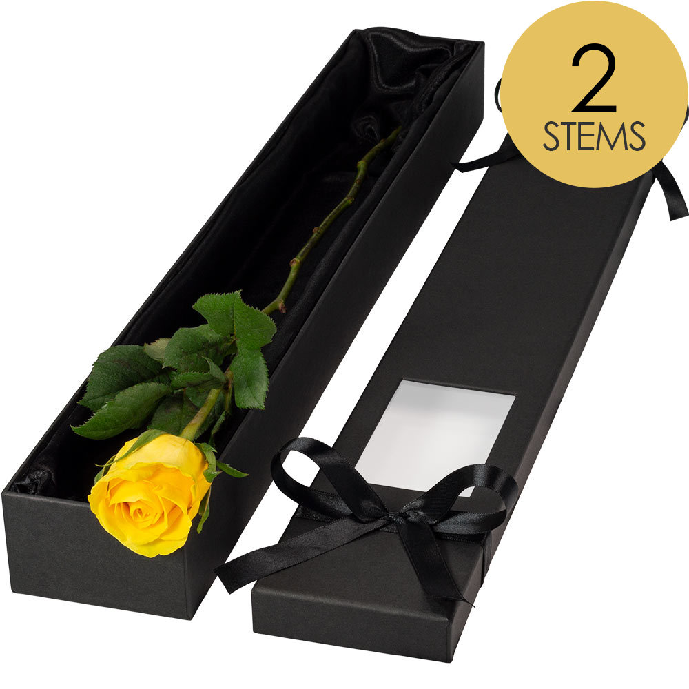 2 Extra Long Luxury Yellow Roses
