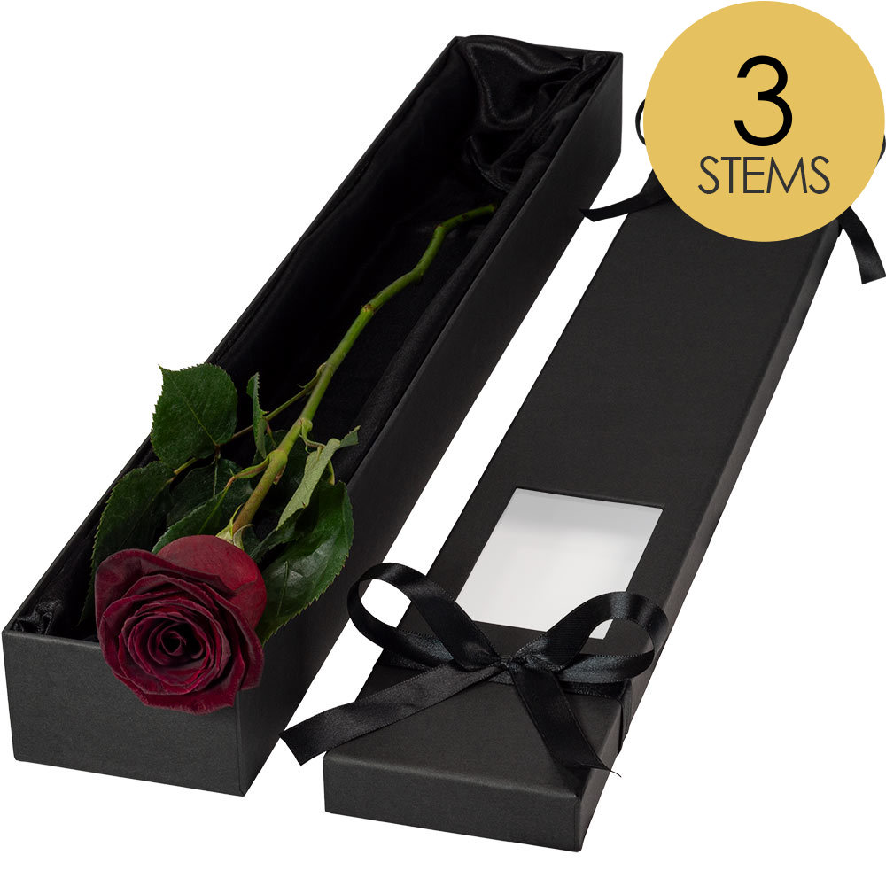3 Extra Long Luxury Black Baccara Roses