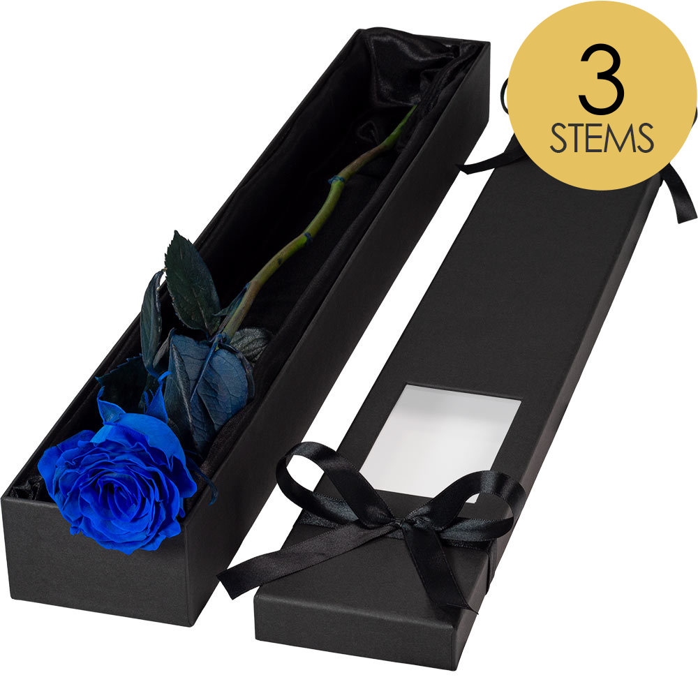 3 Extra Long Luxury Blue Roses