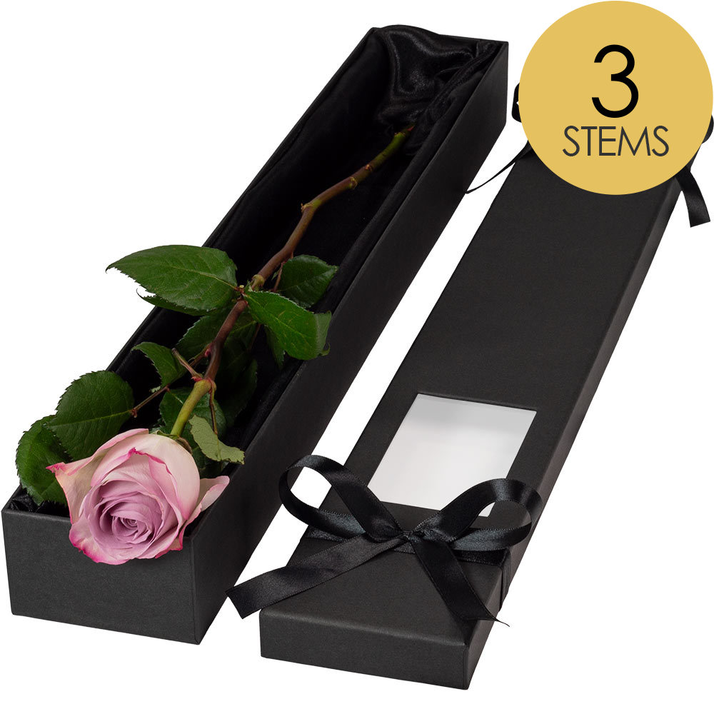 3 Extra Long Luxury Lilac Roses