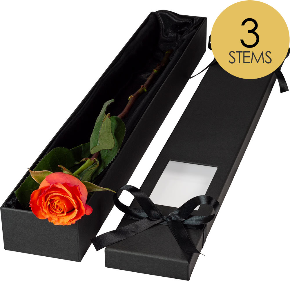3 Extra Long Luxury Orange Roses