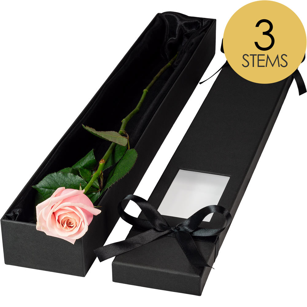 3 Extra Long Luxury Pink Roses