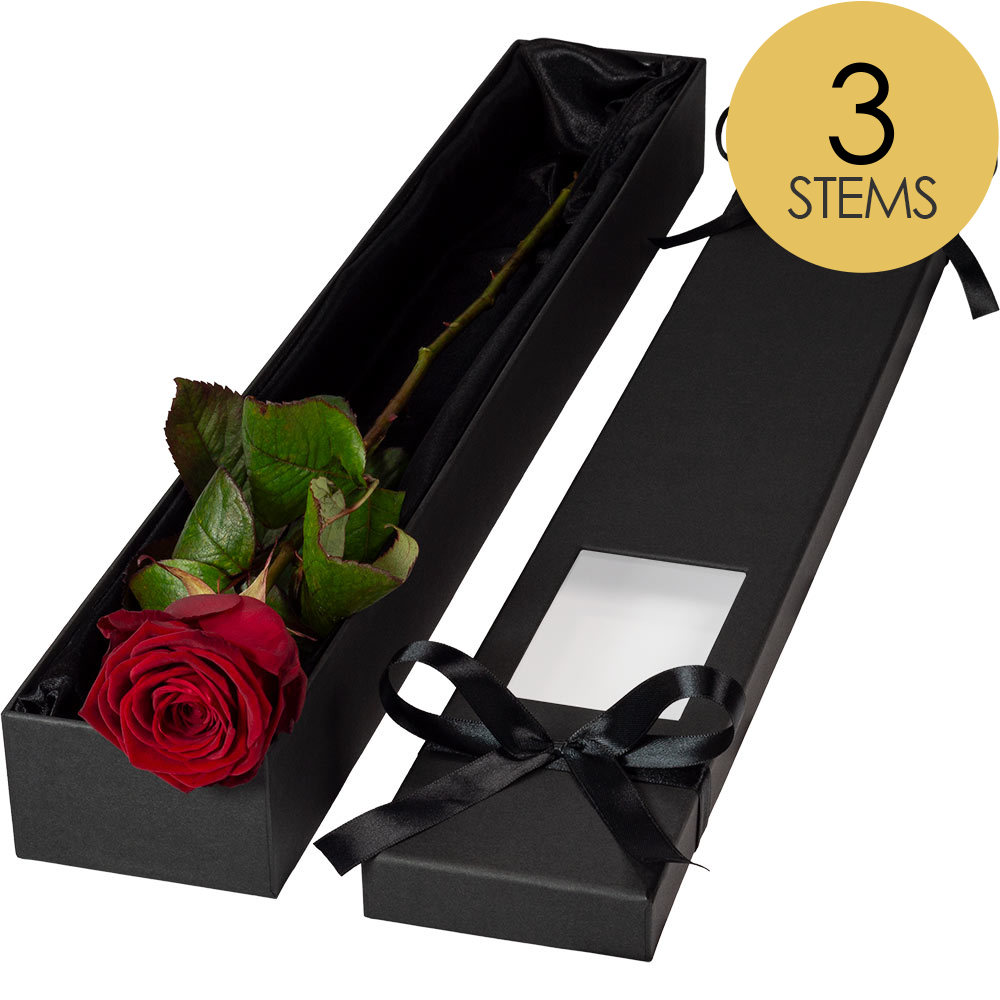 3 Extra Long Luxury Red Roses