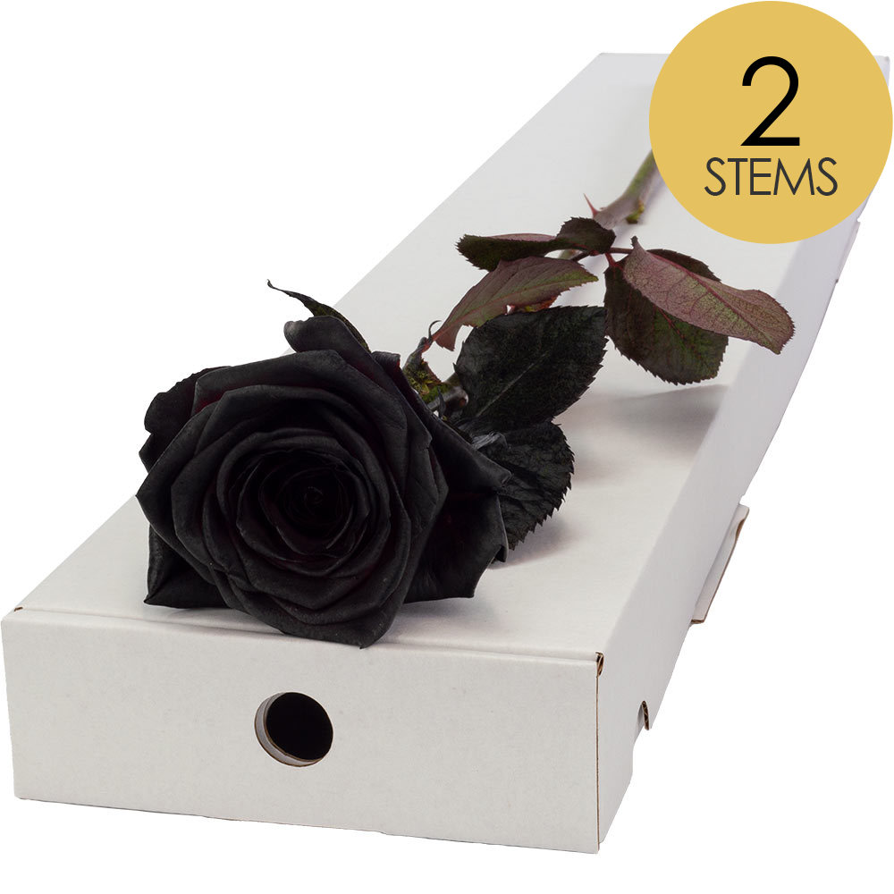 2 Letterbox Black (Painted) Roses