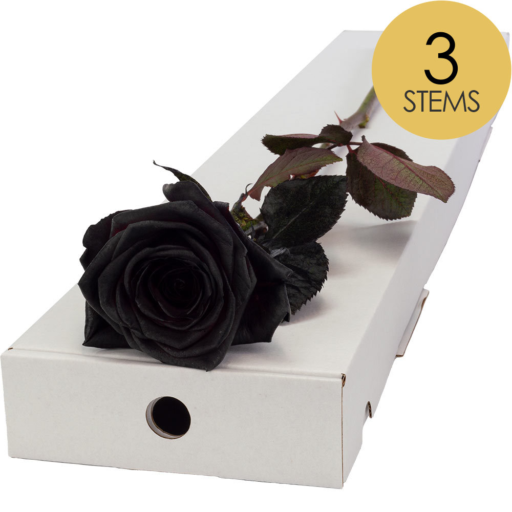 3 Letterbox Black Roses