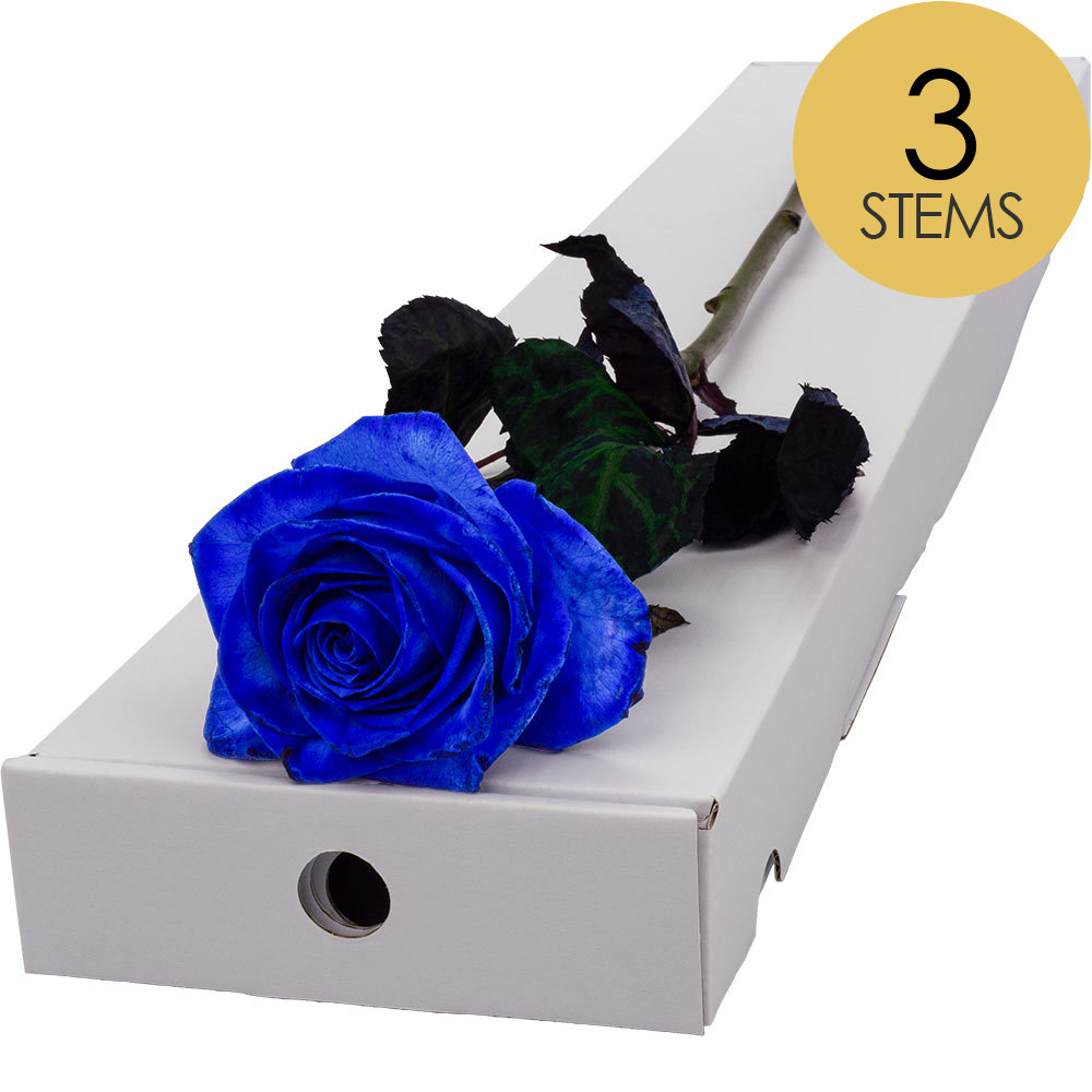3 Letterbox Blue Roses