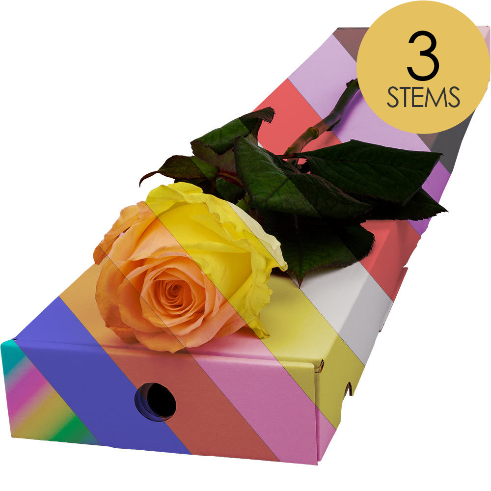 3 Letterbox Customised Roses