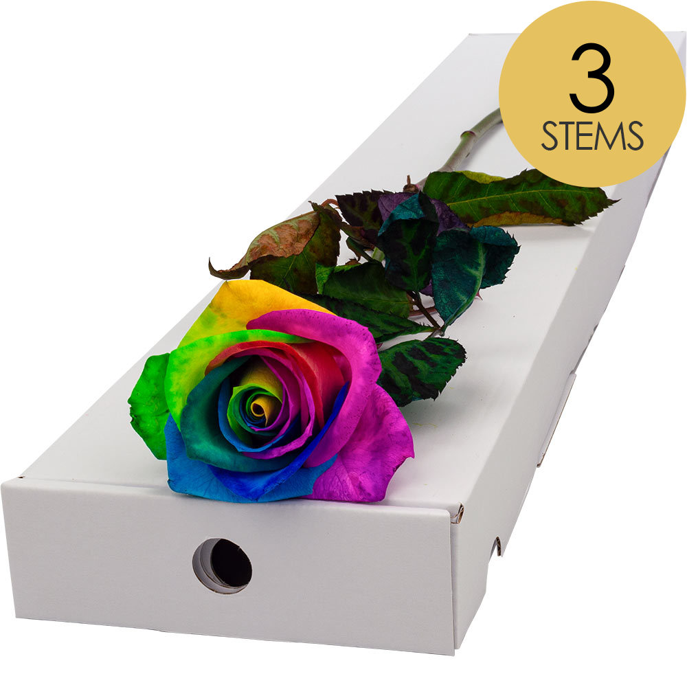 3 Letterbox Happy (Rainbow) Roses