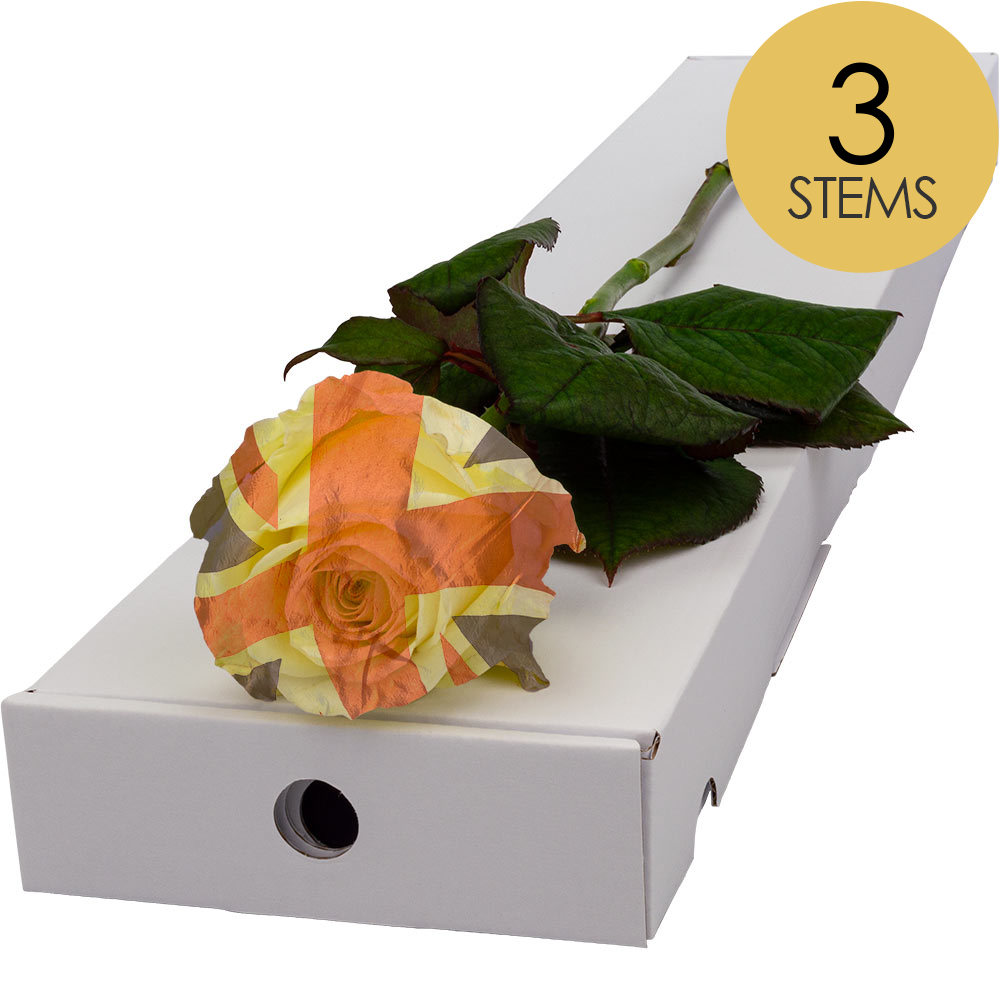 Buy 3 Letterbox Red, White and Blue Roses and get a free name-a-rose ...