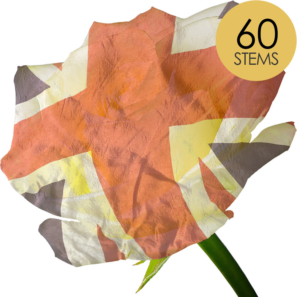60 Red, White and Blue Roses