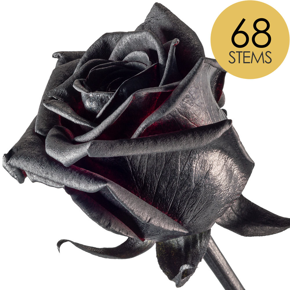 68 Black (Painted) Roses