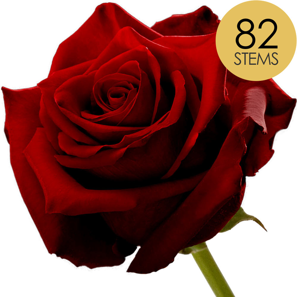 82 Red (Naomi) Roses