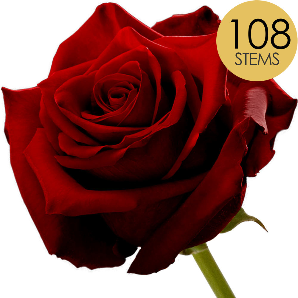 108 Red Roses