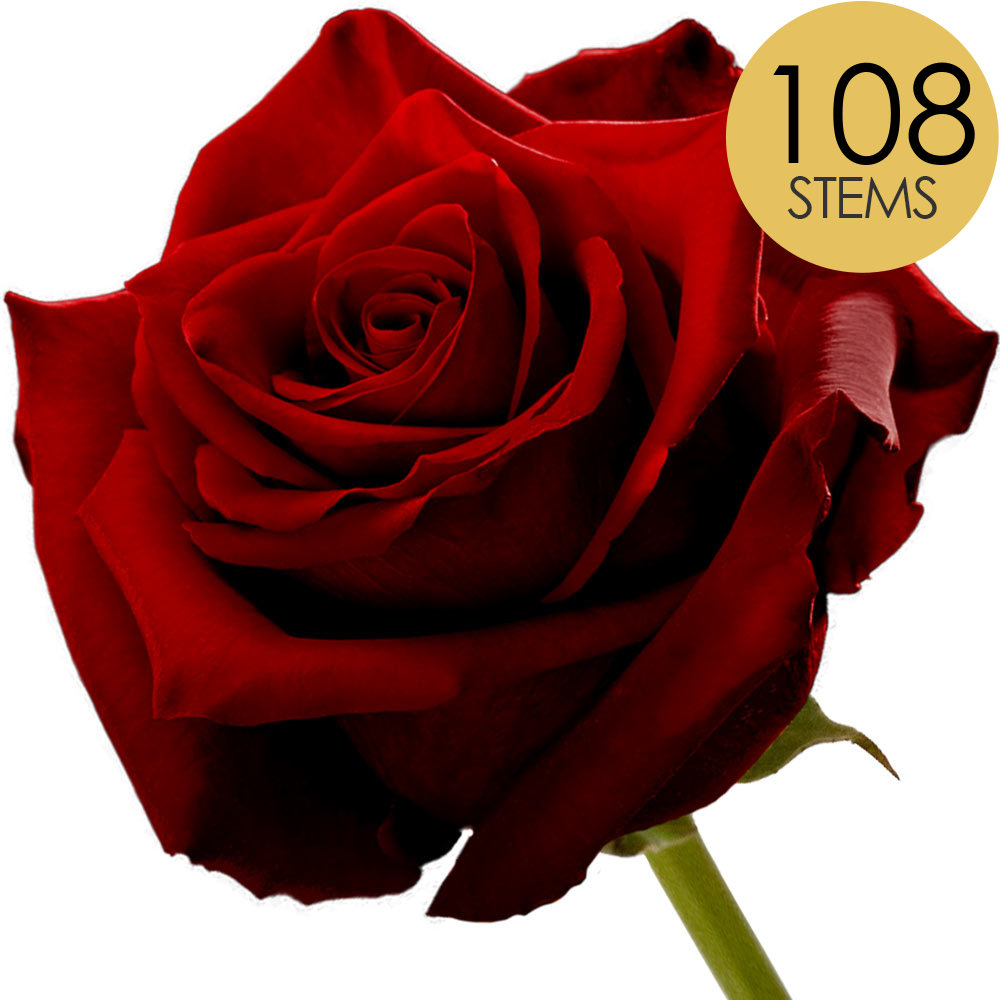 108 Red (Naomi) Roses