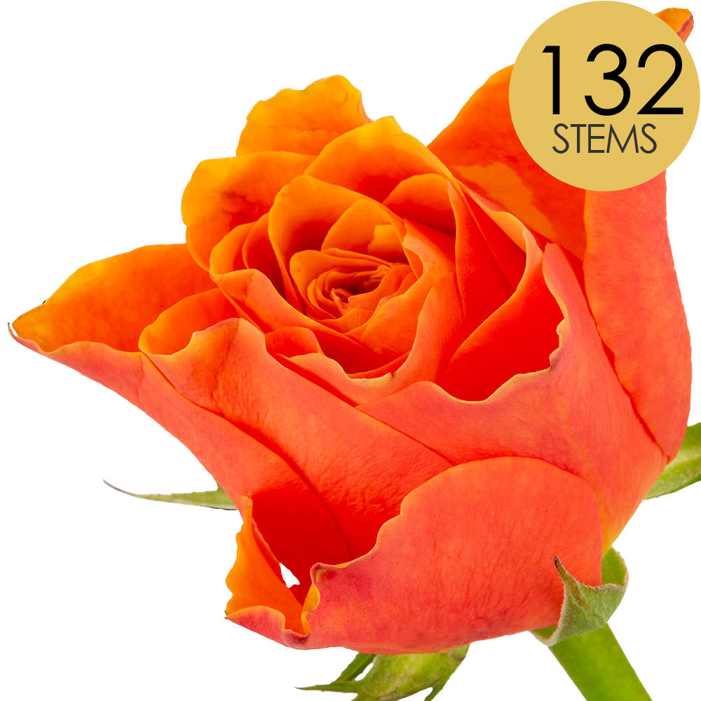 132 Bulk Orange Roses