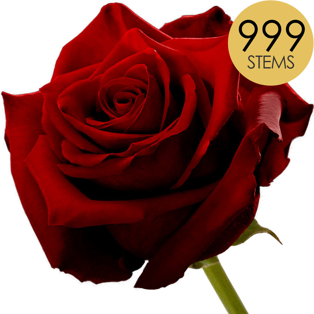 999 Bulk Red Roses