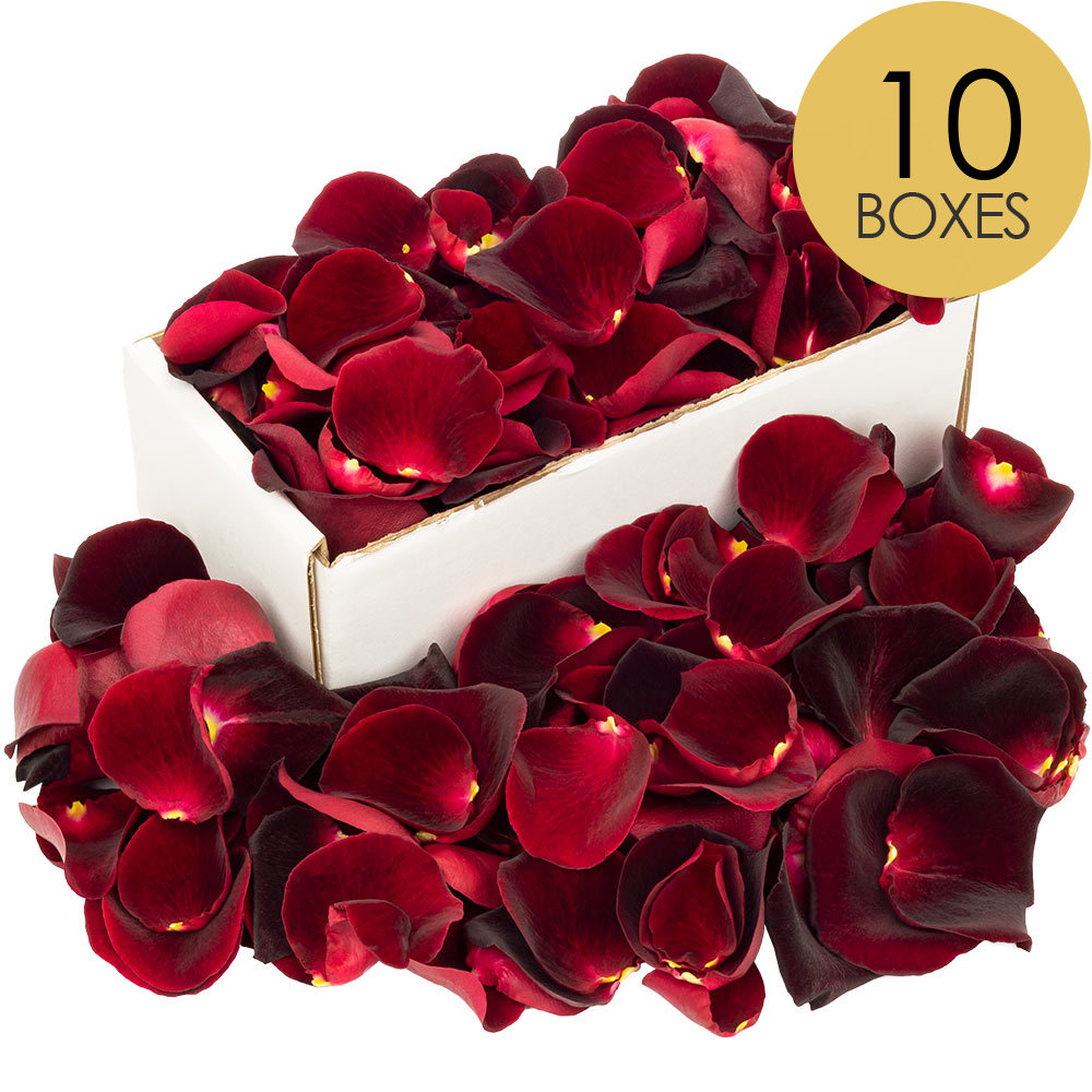 10 Boxes of Black Baccara Rose Petals