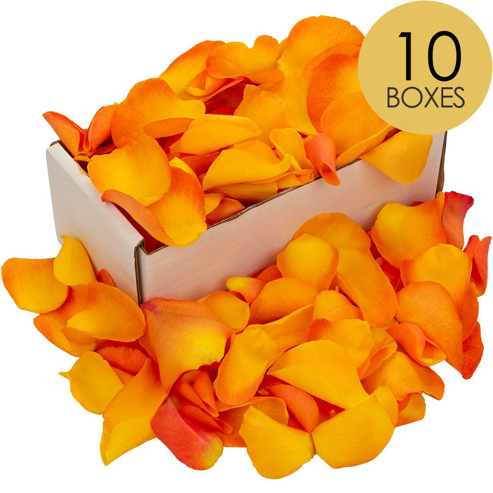 10 Boxes of Orange Rose Petals