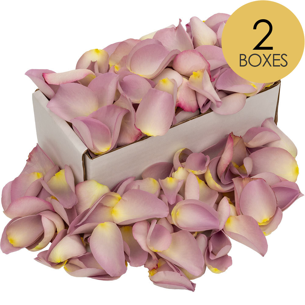 2 Boxes of Lilac Rose Petals