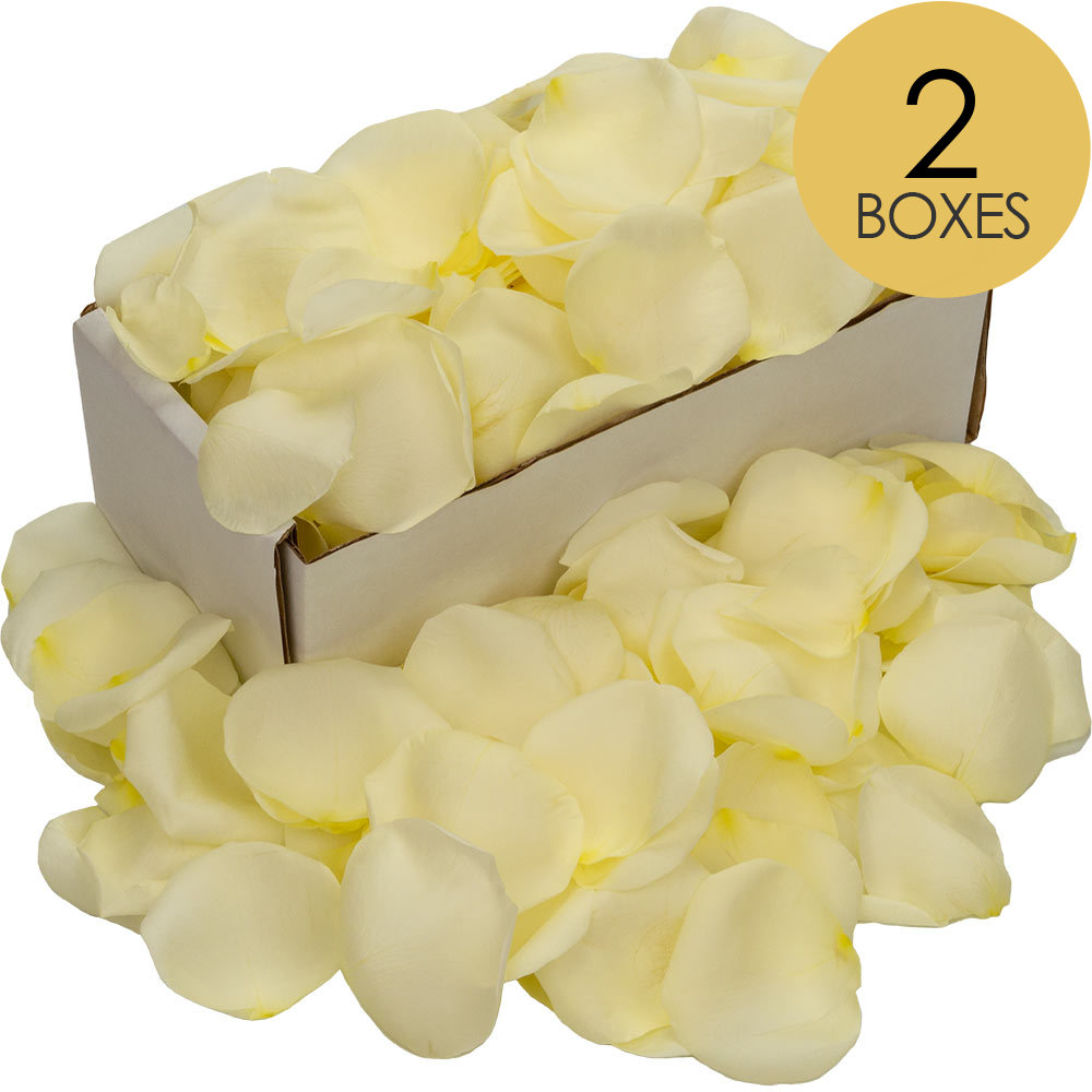 2 Boxes of White (Avalanche) Rose Petals