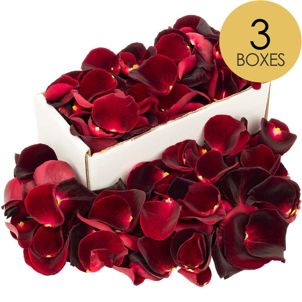 3 Boxes of Black Baccara Rose Petals