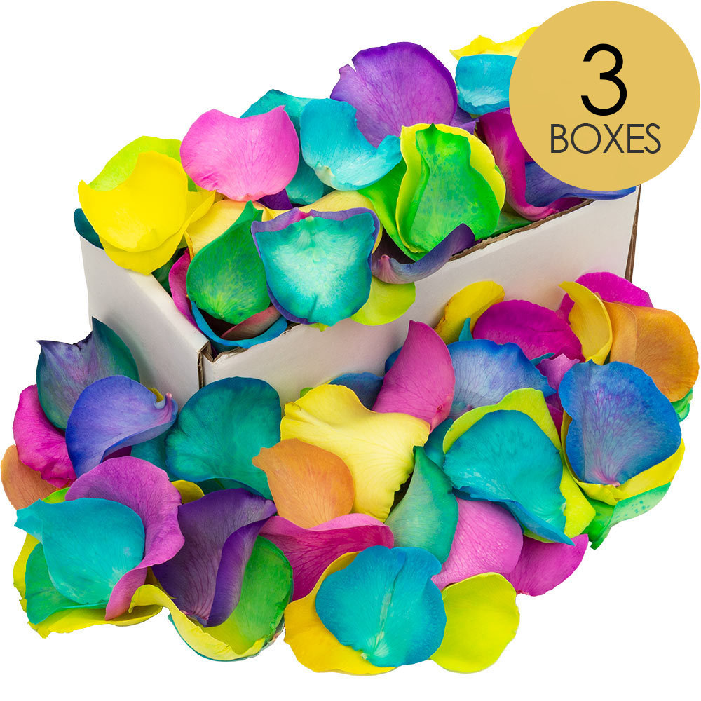 3 Boxes of Happy (Rainbow) Rose Petals