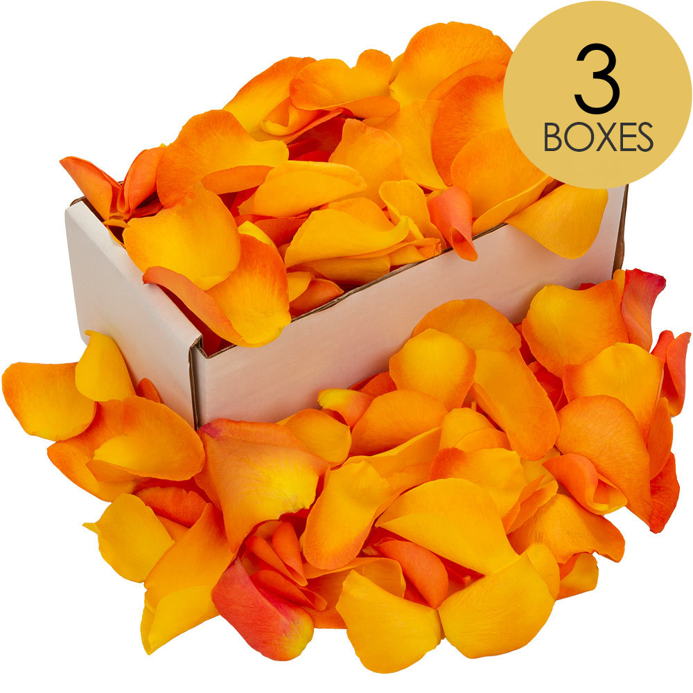 3 Boxes of Orange Rose Petals