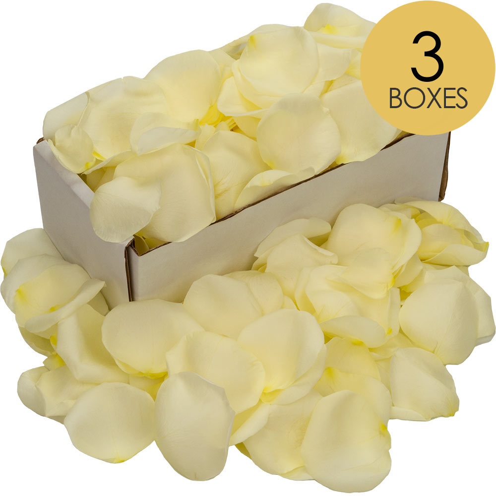 3 Boxes of White Rose Petals