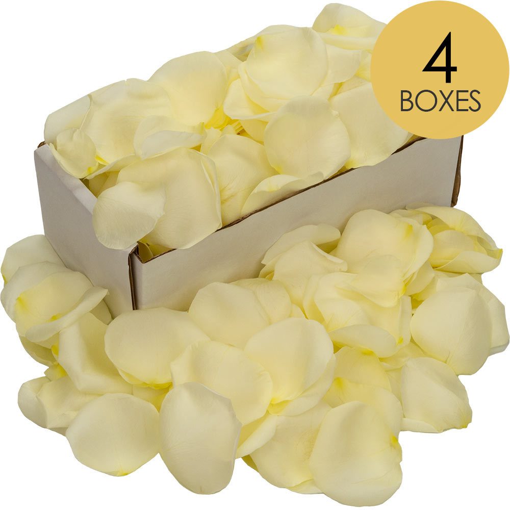 4 Boxes of White Rose Petals