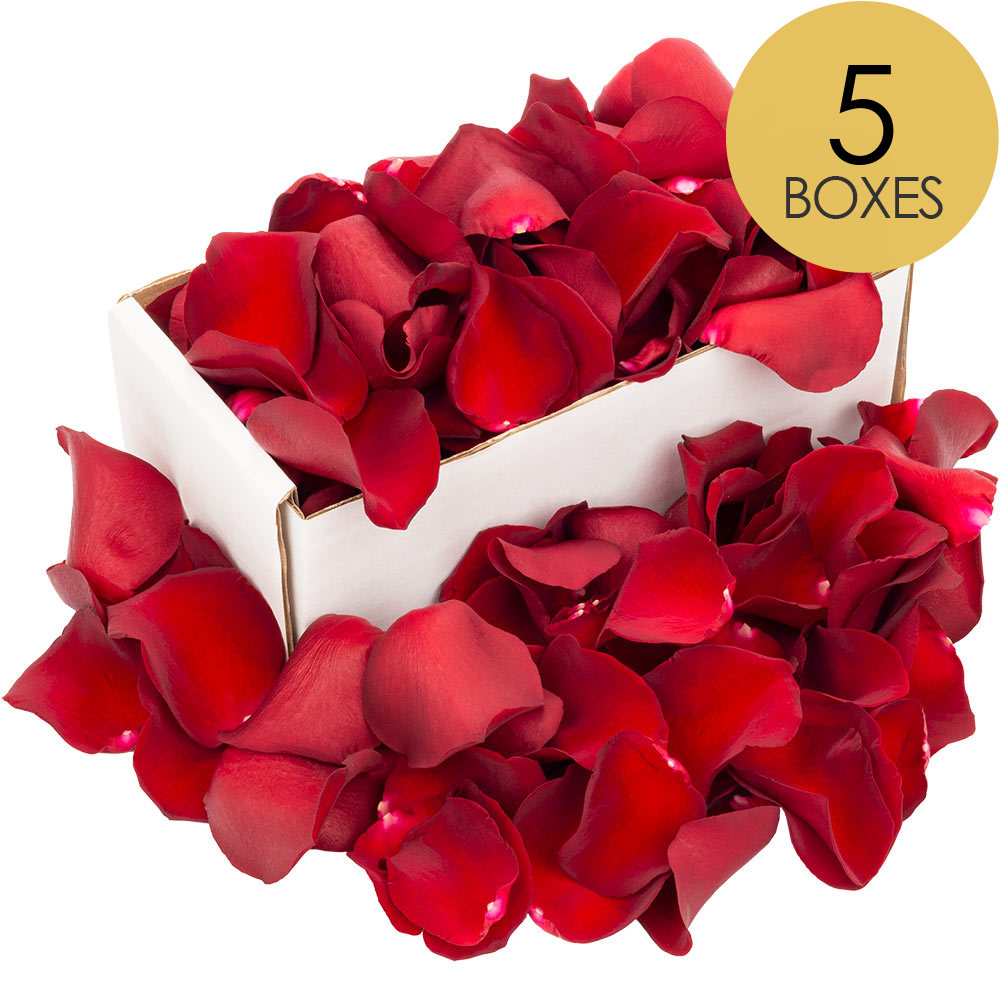5 Boxes of Red Rose Petals