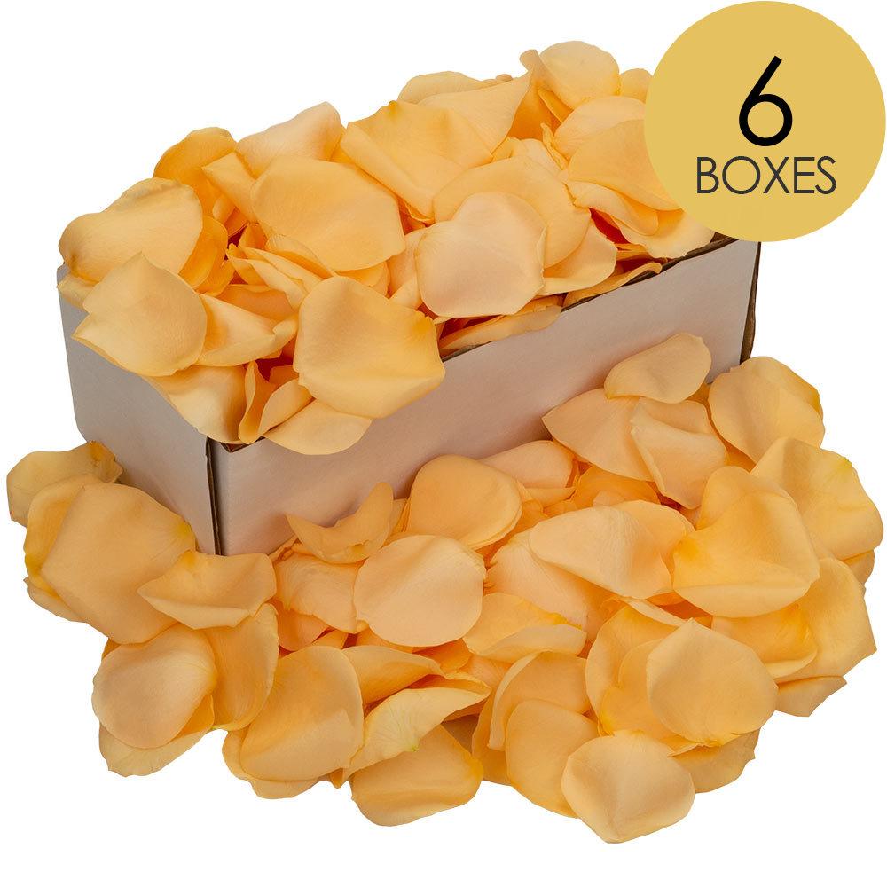 6 Boxes of Peach Rose Petals